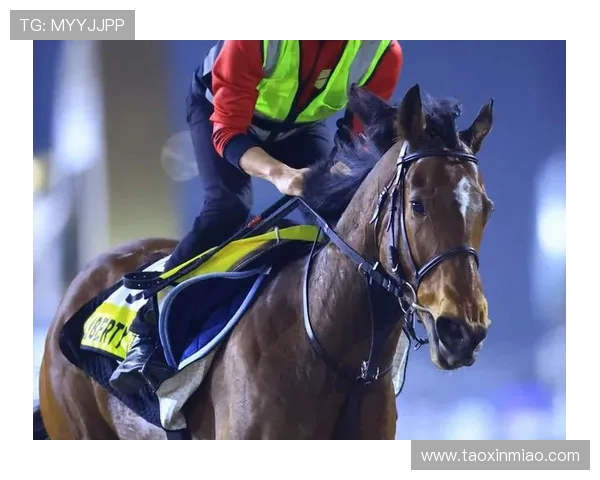 名将田原 G1 首冠！父子制霸宝塚纪念赛创历史(2)