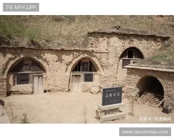 杨玉娇探访陇原非遗：从窑洞炕头到国际舞台的千年技艺传承